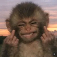 original sound - t.an56