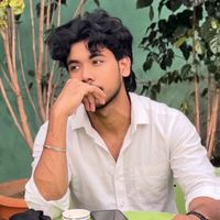 ms_zayn0