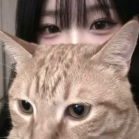 오리지널 사운드 - Jv