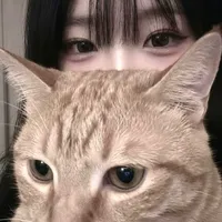 original sound - 1ovou4