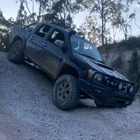 nathanz_collie_4x4