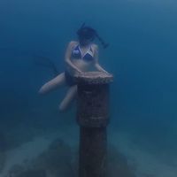 lin_959595