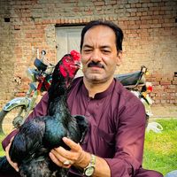 mian.imran.poma