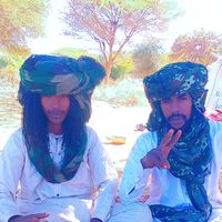 الصوت الأصلي