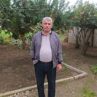 orijinal ses