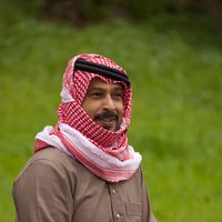 الصوت الأصلي