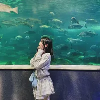 original sound - hongvan20031