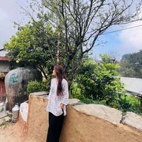 mrs.magarni2990