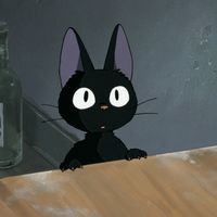lili_s66666