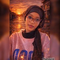 salmat271