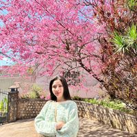 juliabui_ly