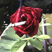 original sound - bichigusomaru5