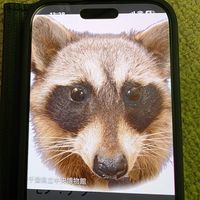 userw2qk9ivtgv