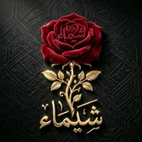 original sound - sha28788