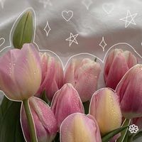 original sound - 🌷