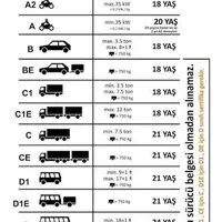 original sound - ciceksuruucukursu