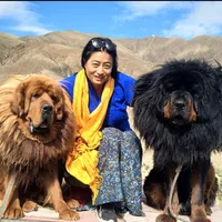 original sound - geemeeomm