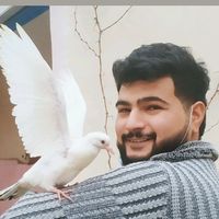 alishka408