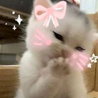 nhạc nền - 🐸04/11👑♏