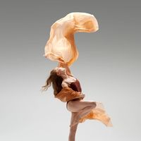 nhạc nền - dammevudao