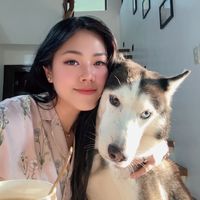 huskybrosph