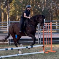 theequestrians