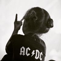 original sound - 🐝 .