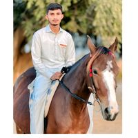 arslan.lakhan