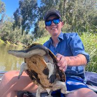 nsw_codfishing