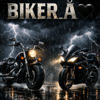 chicobiker33