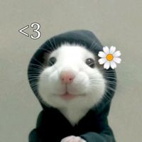 sidratul_08
