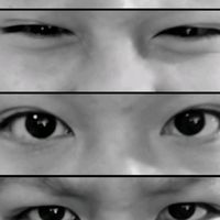 เสียงต้นฉบับ - 🌼🌼🌻เเก้มใส🌻🌼🌼