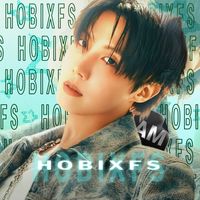 hobixfs