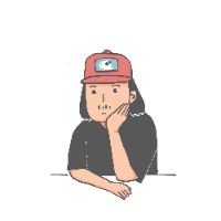 wifi313