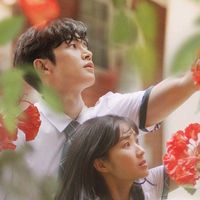 camelia_blossom_