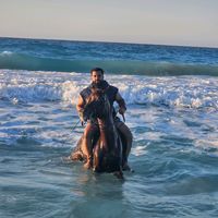mohamedabbashero