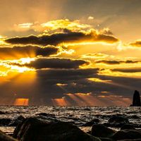 الصوت الأصلي