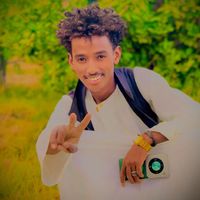 wd_alzake_515
