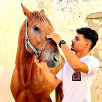 omran_4k7