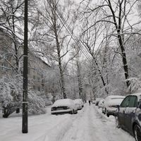 оригинальный звук