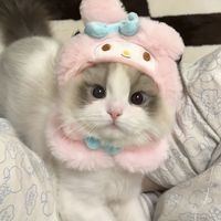 bxwwob