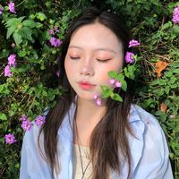 nhạc nền - Hướng Dương 🌻