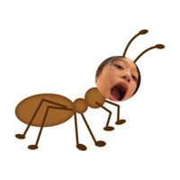 aaaaa._jhdijq