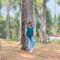 hamzaali15