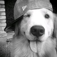 elittkombindunyasiiii