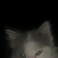 original sound - igornxz