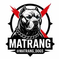 matrang_dogs