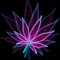 britney rosa chemical