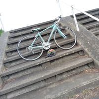 bianchi7836