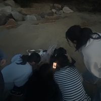 オリジナル楽曲 - ひなただもの🕊💭